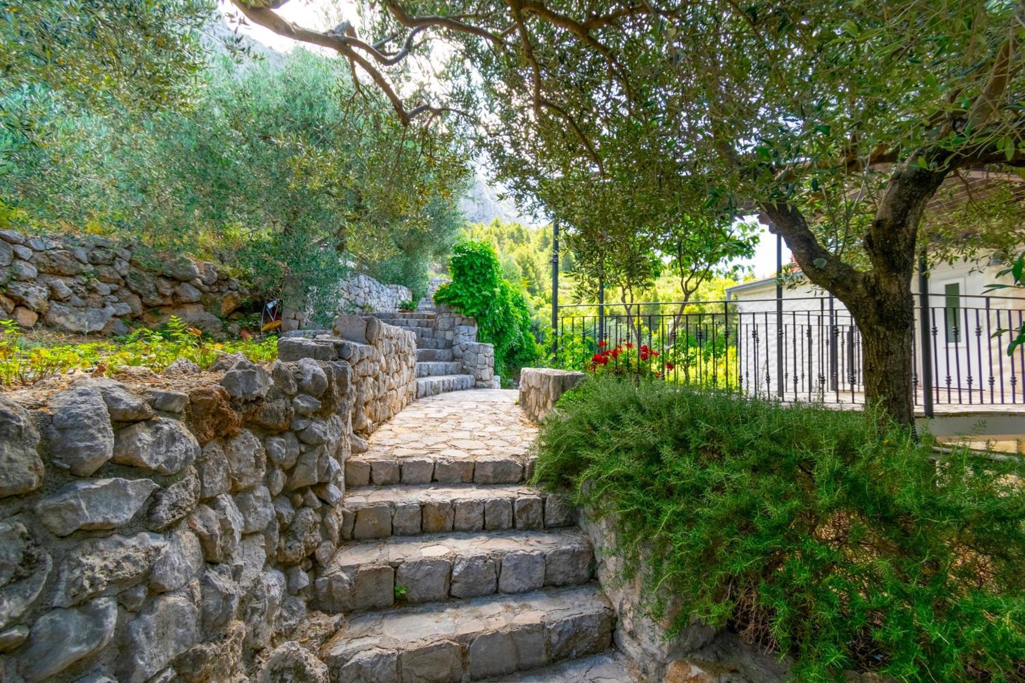 Villa Sara With Pool, Whirlpool And Sea View Makarska